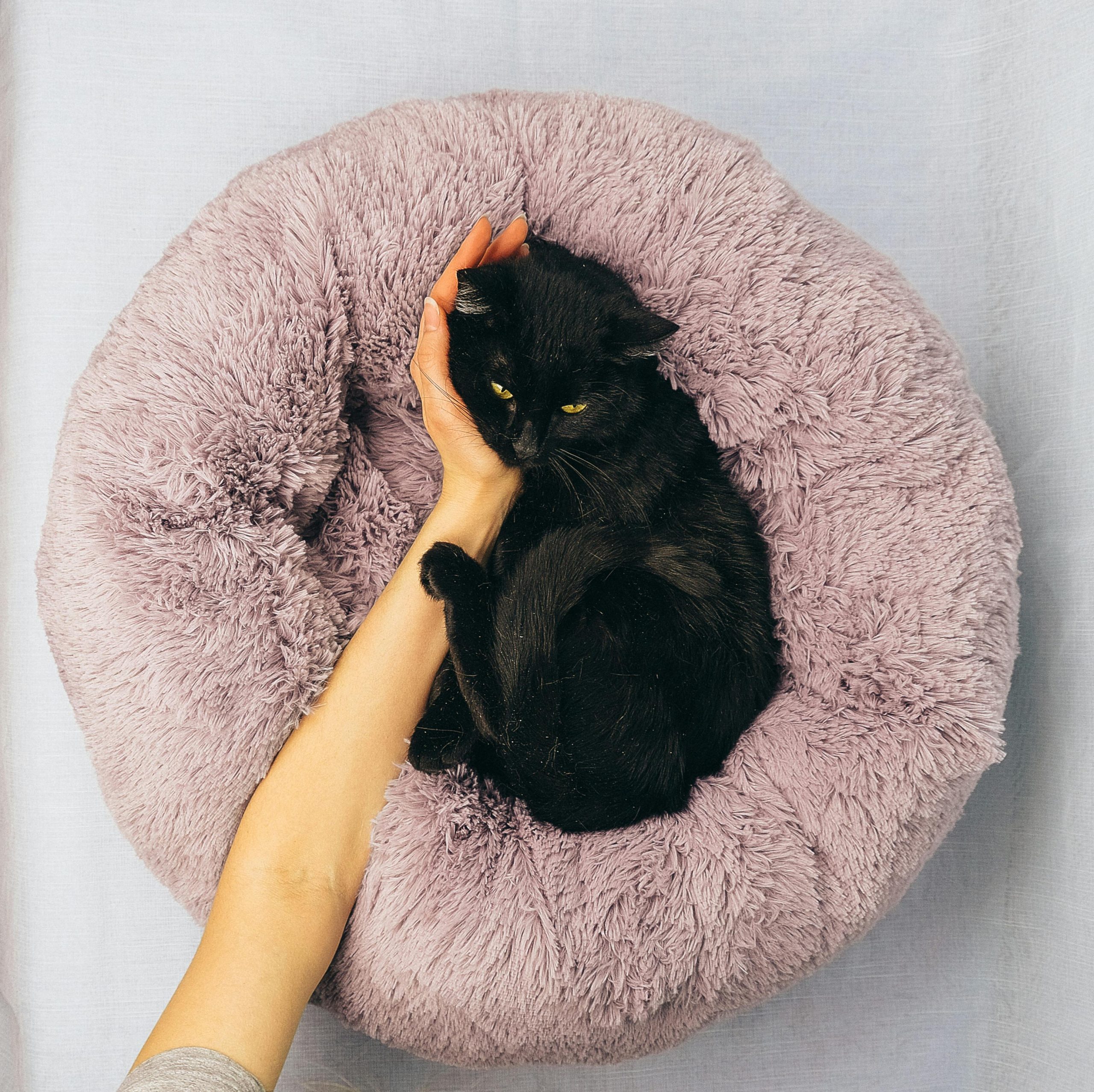 pexels-irena-sable-20199295-6768918